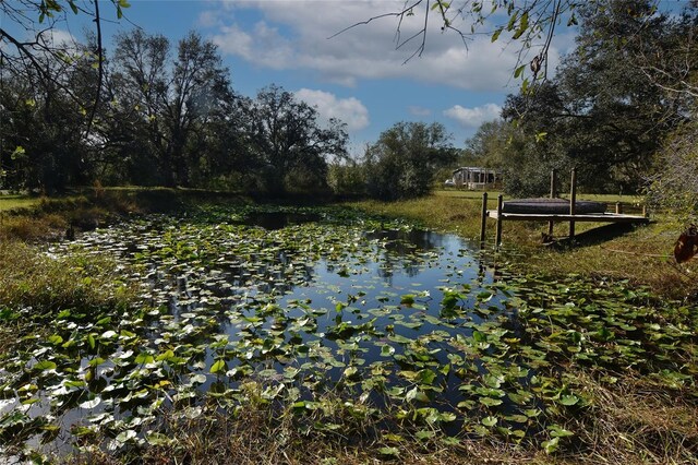 1880 NW Windy Pine Ave, Arcadia, FL 34266 - photo 11