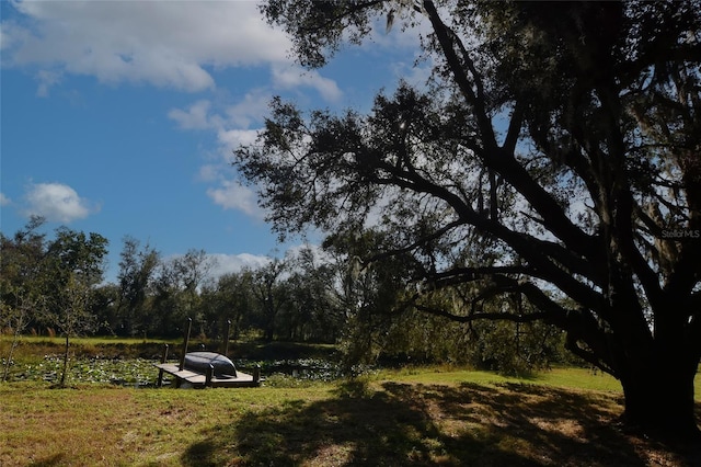 1880 NW Windy Pine Ave, Arcadia, FL 34266 - photo 12