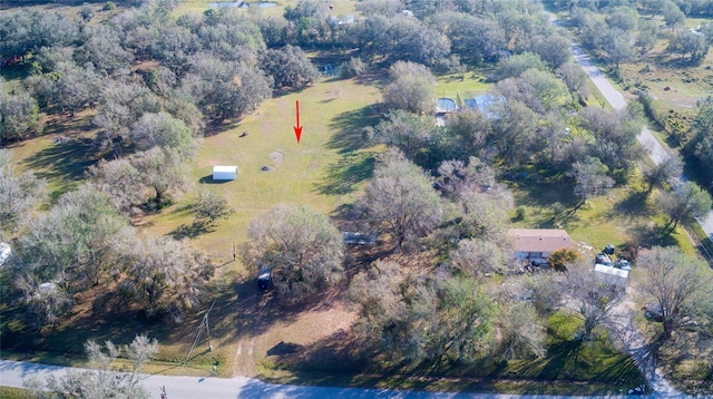 1880 NW Windy Pine Ave, Arcadia, FL 34266 - photo 16