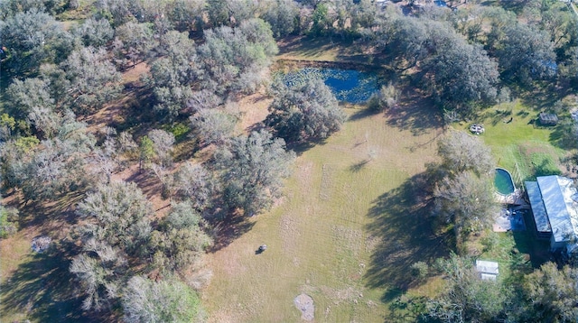 1880 NW Windy Pine Ave, Arcadia, FL 34266 - photo 20