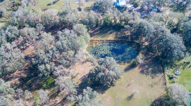 1880 NW Windy Pine Ave, Arcadia, FL 34266 - photo 21