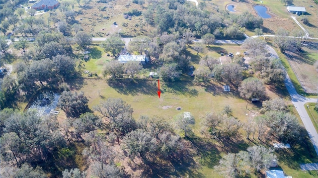 1880 NW Windy Pine Ave, Arcadia, FL 34266 - photo 24