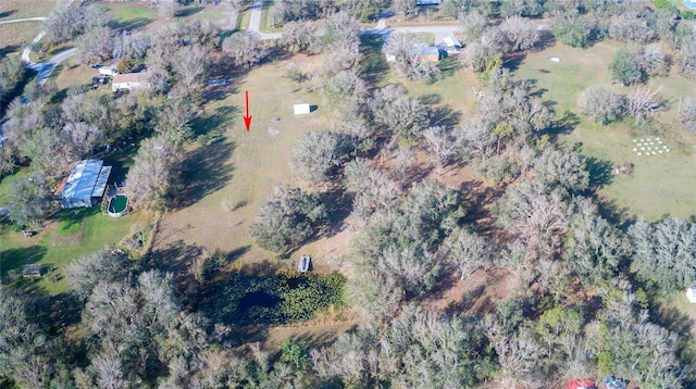 1880 NW Windy Pine Ave, Arcadia, FL 34266 - photo 25