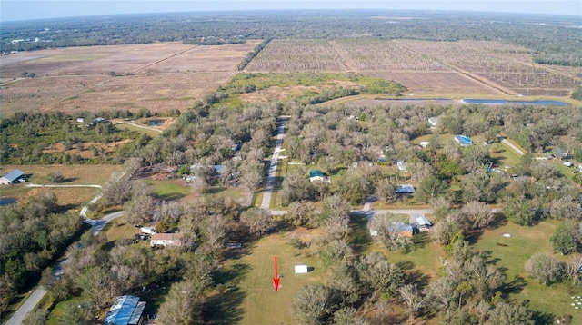 1880 NW Windy Pine Ave, Arcadia, FL 34266 - photo 27