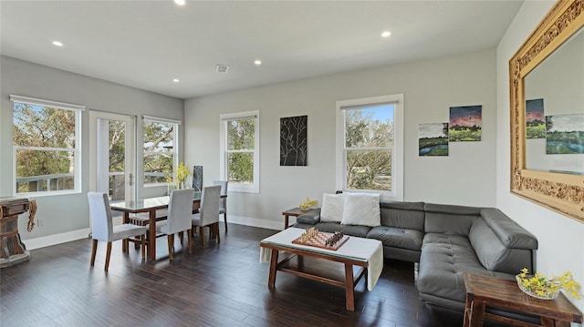 living room featuring dark hardwood / wood-style flooring