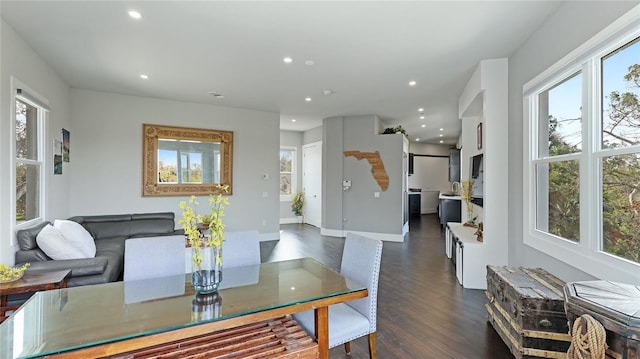 dining area featuring a healthy amount of sunlight and dark hardwood / wood-style floors