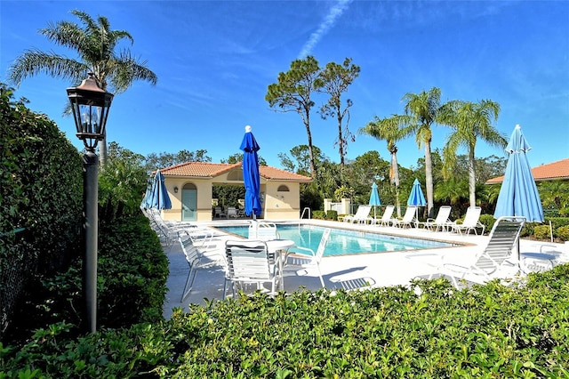 view of swimming pool with a patio