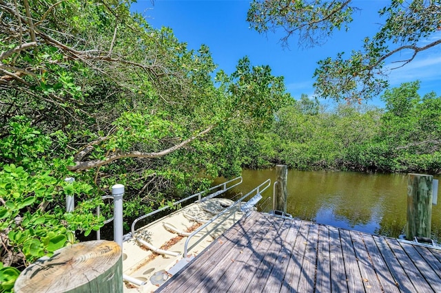 dock area featuring a water view