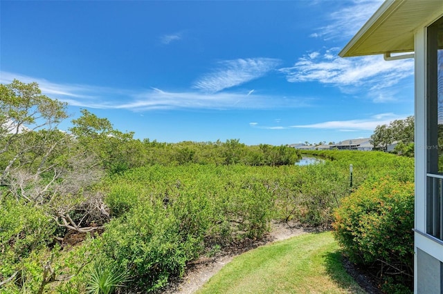 view of yard with a water view