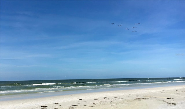 property view of water featuring a view of the beach