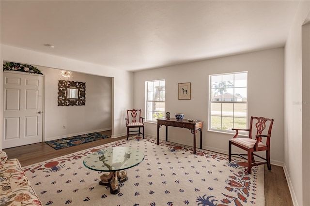 sitting room featuring hardwood / wood-style floors