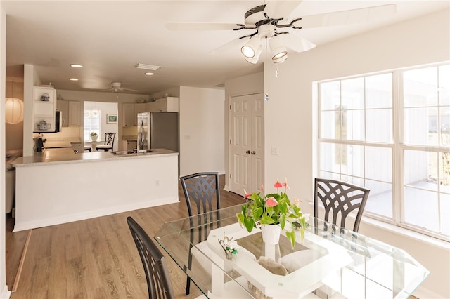 dining space featuring light hardwood / wood-style floors, sink, and ceiling fan