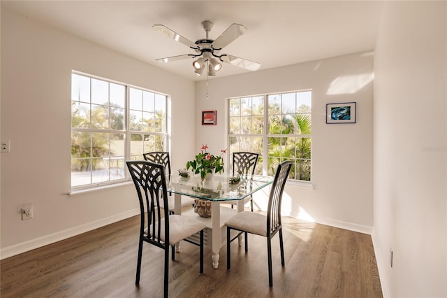 dining room featuring ceiling fan, dark hardwood / wood-style floors, and a healthy amount of sunlight