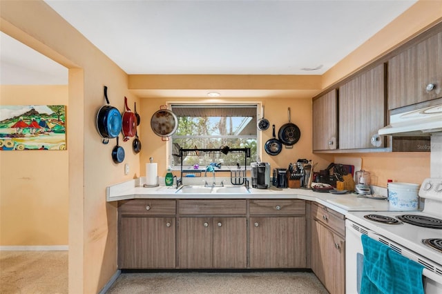 kitchen with sink and white range with electric cooktop