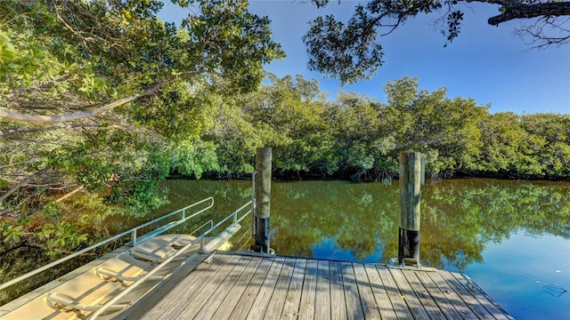 1109 Edgewater Cir Unit 1109, Bradenton, FL 34209 - photo 47