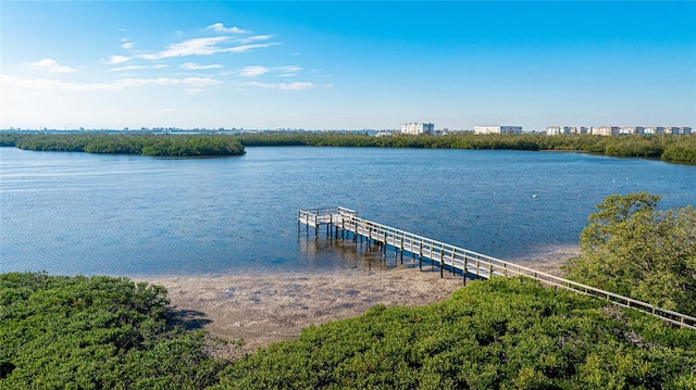 dock area with a water view