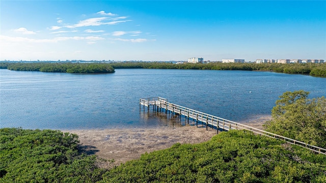 1109 Edgewater Cir Unit 1109, Bradenton, FL 34209 - photo 50