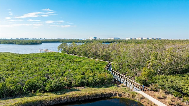 property view of water