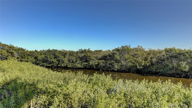 view of local wilderness with a water view