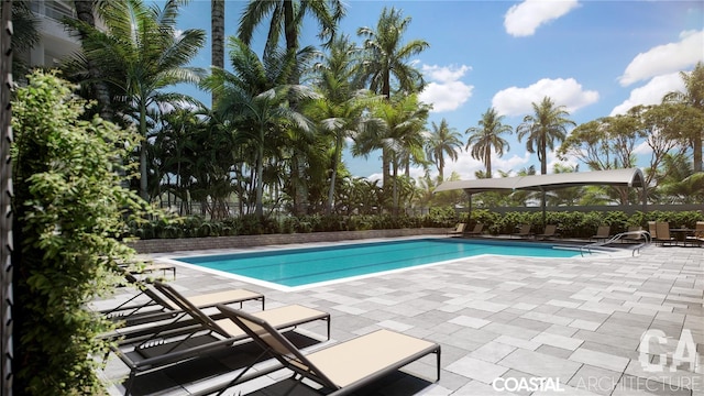 view of pool with a patio