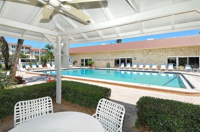 view of swimming pool featuring a patio area and ceiling fan