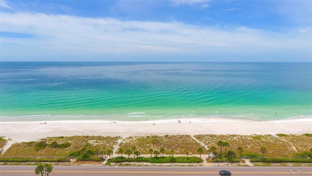 property view of water featuring a beach view