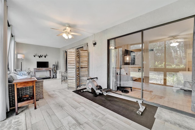 exercise room featuring ceiling fan and light hardwood / wood-style flooring