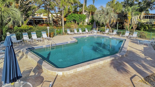 view of pool with a patio