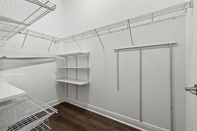 spacious closet with wood-type flooring