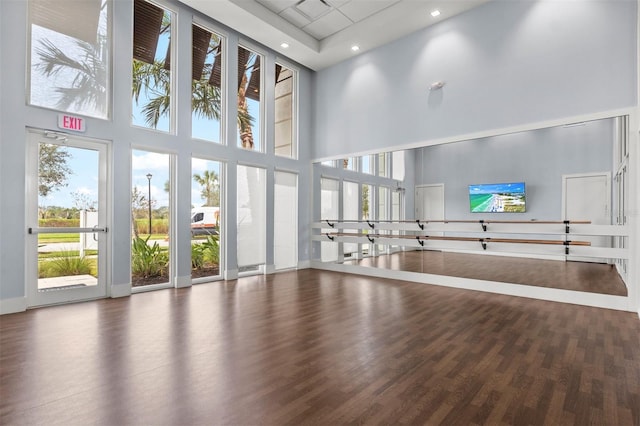 interior space with dark wood-type flooring, a wealth of natural light, and a high ceiling