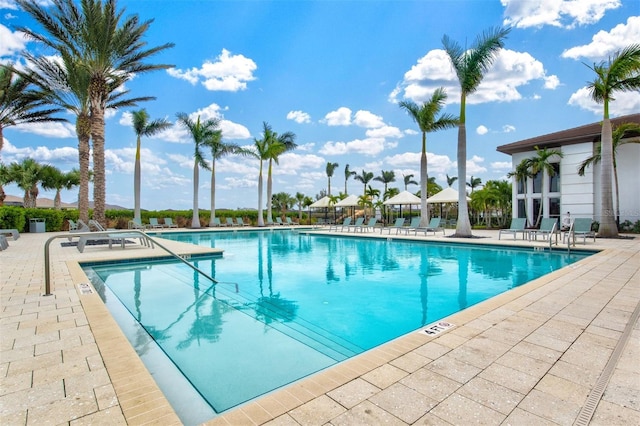 view of pool with a patio area