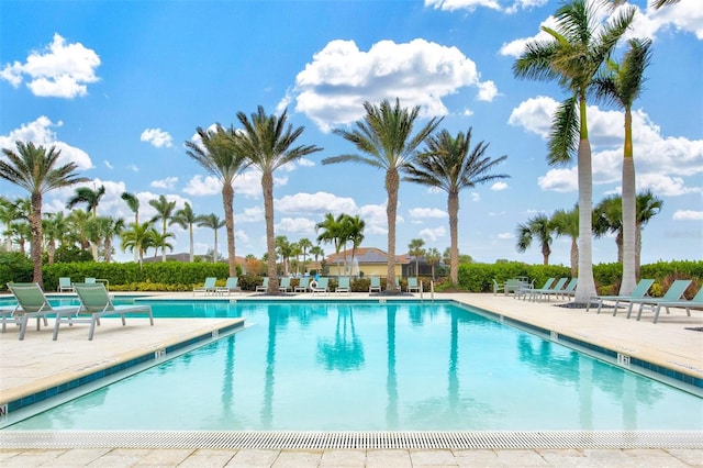 view of swimming pool with a patio area