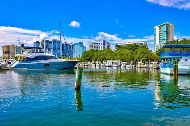 view of water feature featuring a boat dock