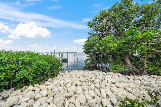 exterior space with a boat dock