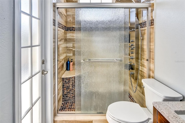 bathroom with toilet, vanity, and a shower with shower door