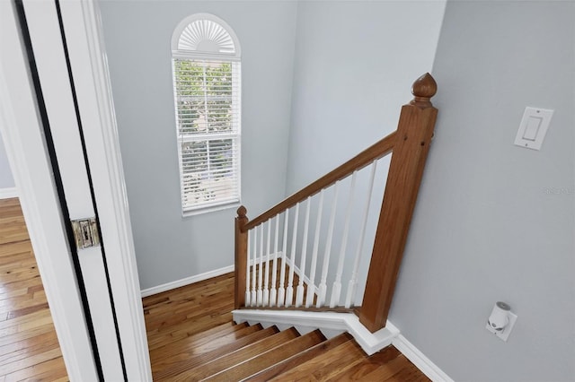 4708 Clipper Dr, Bradenton, FL 34208 - stairway with baseboards and wood finished floors