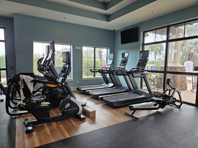 gym with a wealth of natural light and baseboards