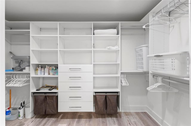 spacious closet with hardwood / wood-style floors