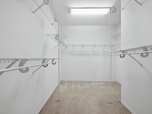 spacious closet featuring light colored carpet