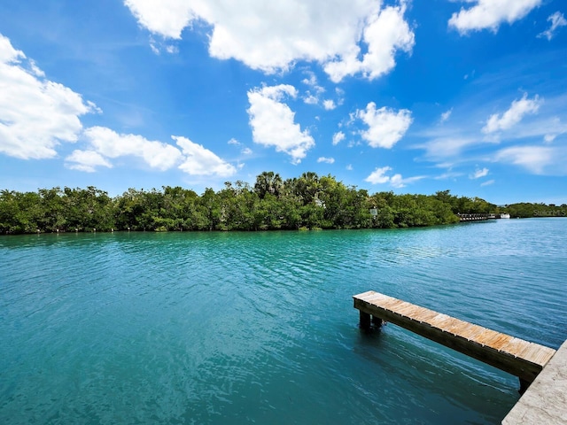 view of dock with a water view