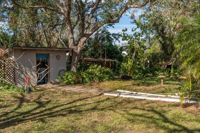 view of yard featuring a storage unit