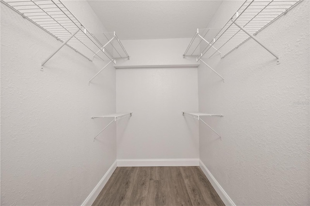 walk in closet featuring wood finished floors