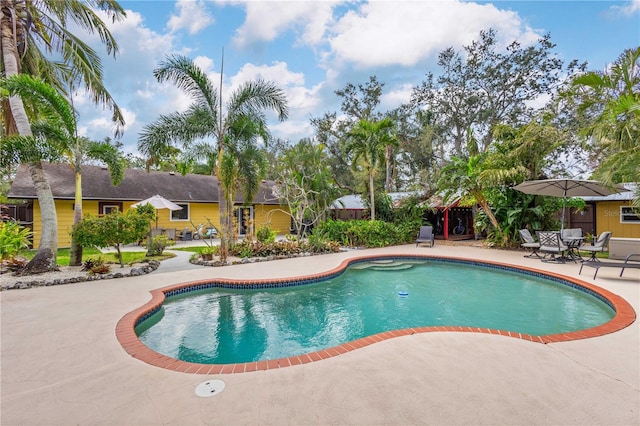 view of swimming pool featuring a patio