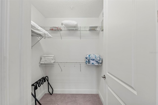 spacious closet with light carpet