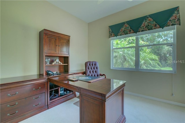 644 Rivendell Blvd, Osprey, FL 34229 - photo 38
