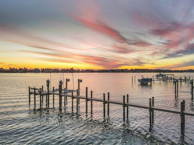 dock area with a water view