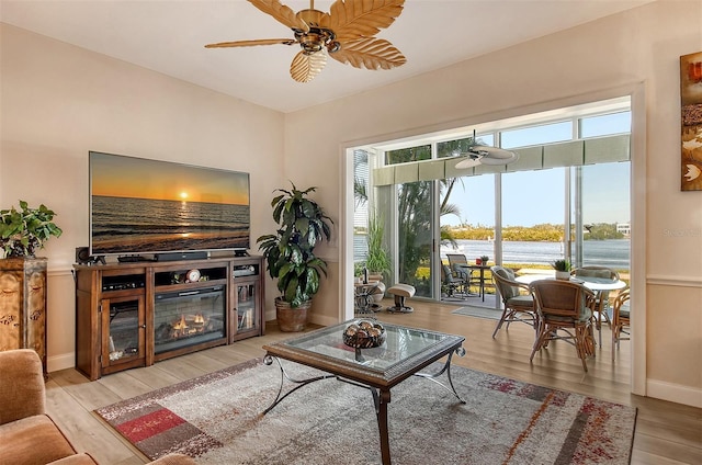 living room with ceiling fan and light hardwood / wood-style flooring