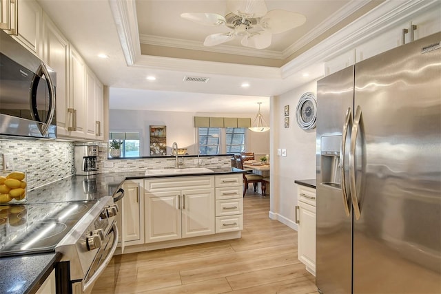 kitchen featuring a raised ceiling, tasteful backsplash, sink, and stainless steel appliances