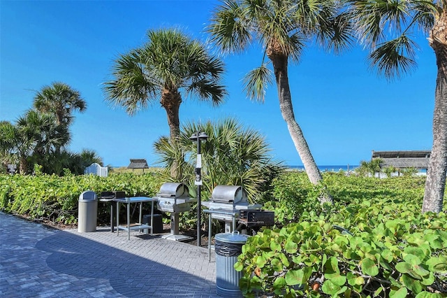 view of patio / terrace with grilling area