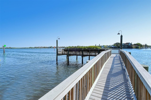 dock area with a water view